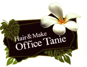 オフィスタニエ/office tanie